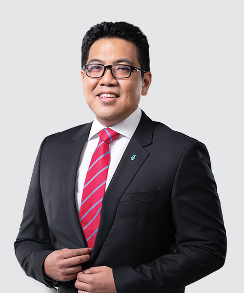 Integrated development skyline