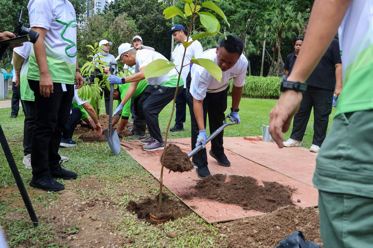 Tree Planting