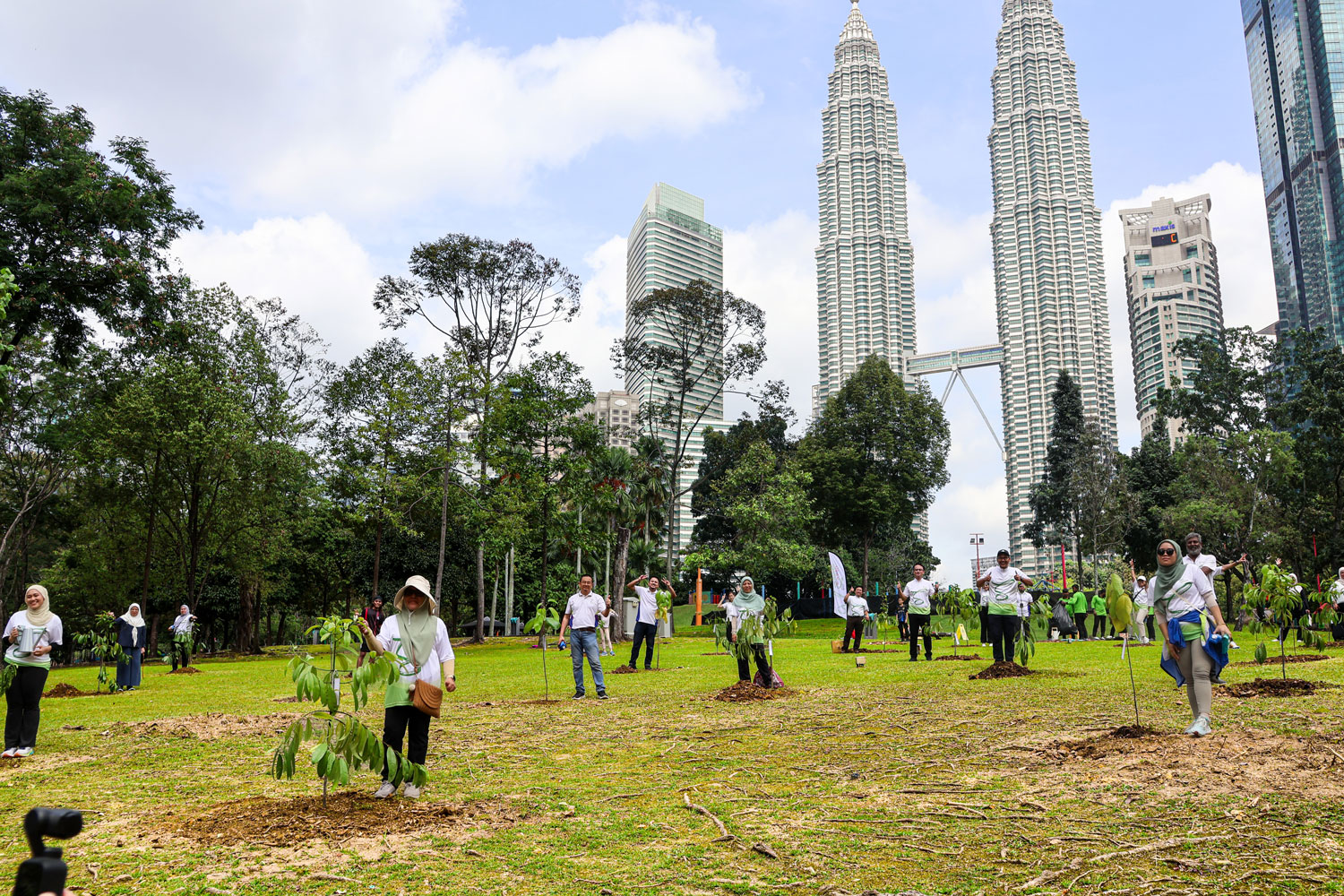 Tree Planting