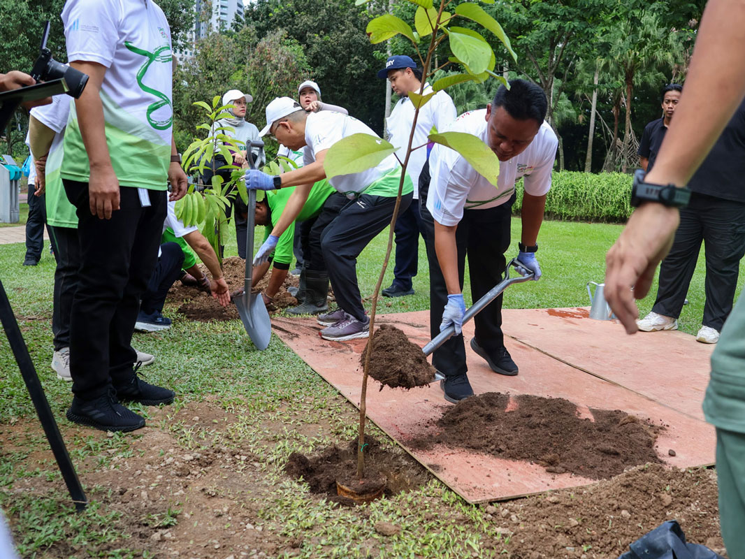 thumb-sus-story-tree-planting.jpg
