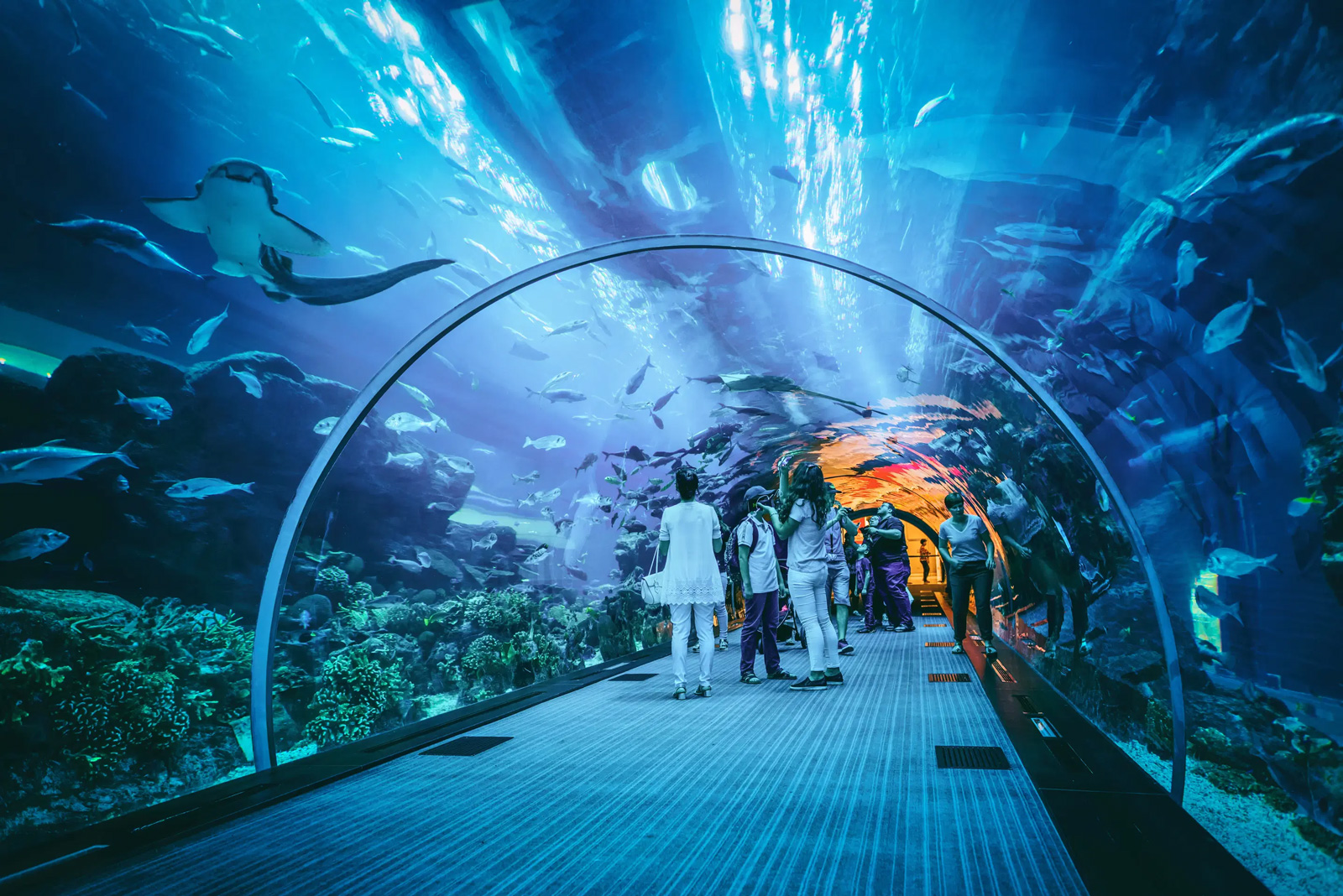 AQUARIA KLCC