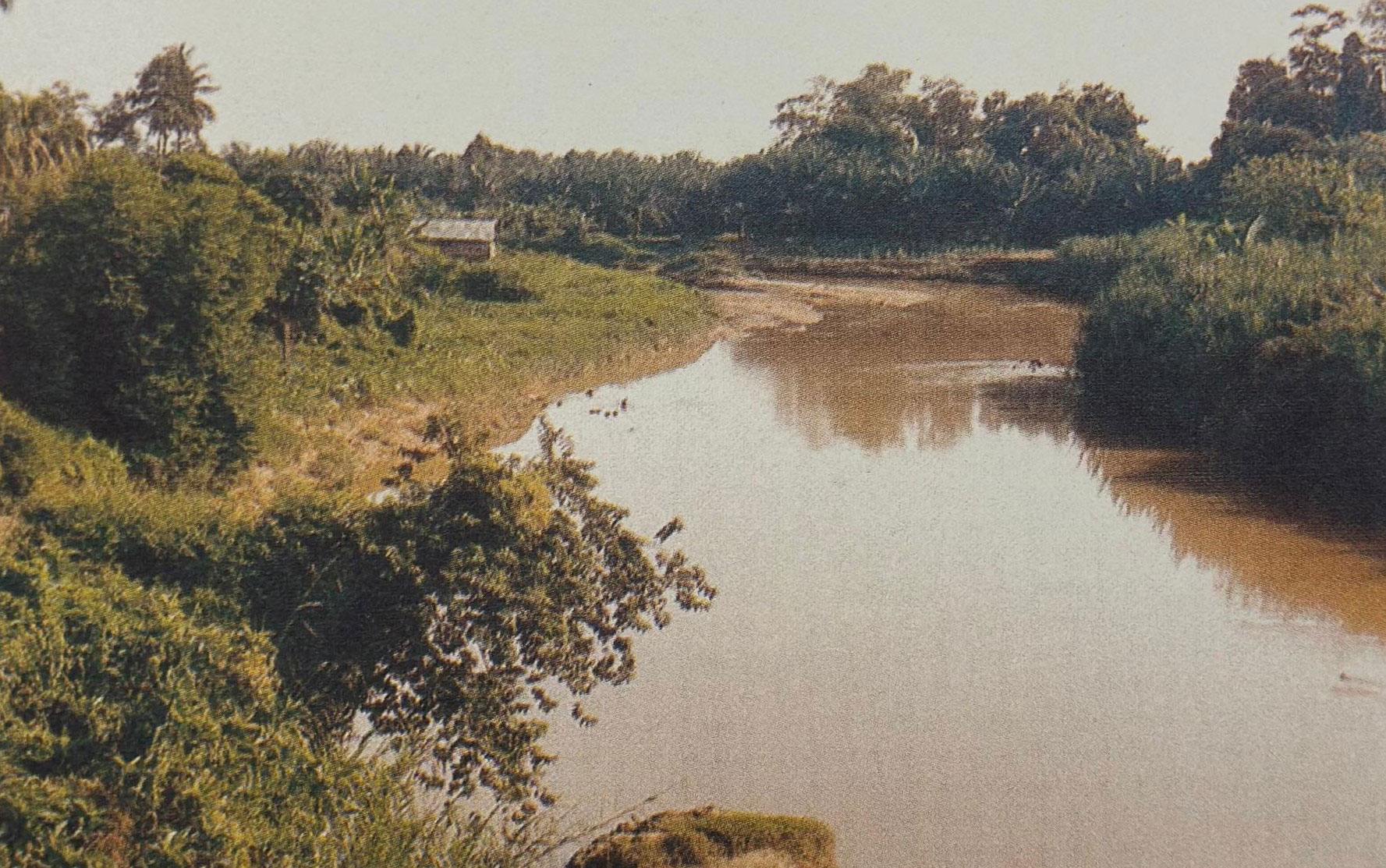 Sungai Chuau (1993)